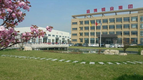 青島宜博銅業集團