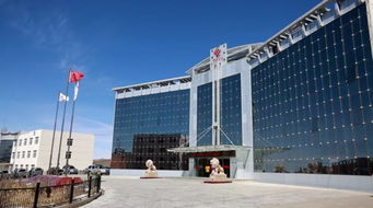 靜 凈 精 西部銅業精細化管理初體驗